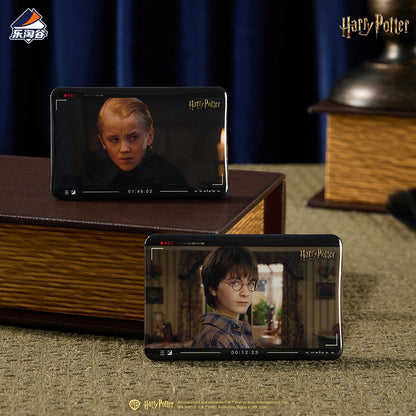 Harry Potter Magic Echo Series Character Badge