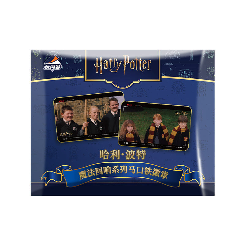 Harry Potter Magic Echo Series Character Badge