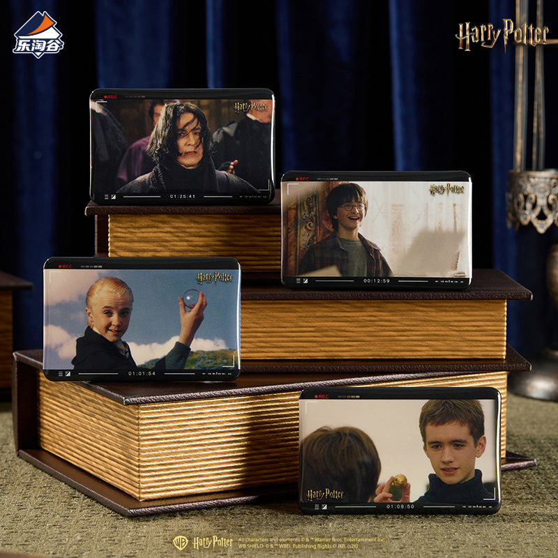 Harry Potter Magic Echo Series Character Badge