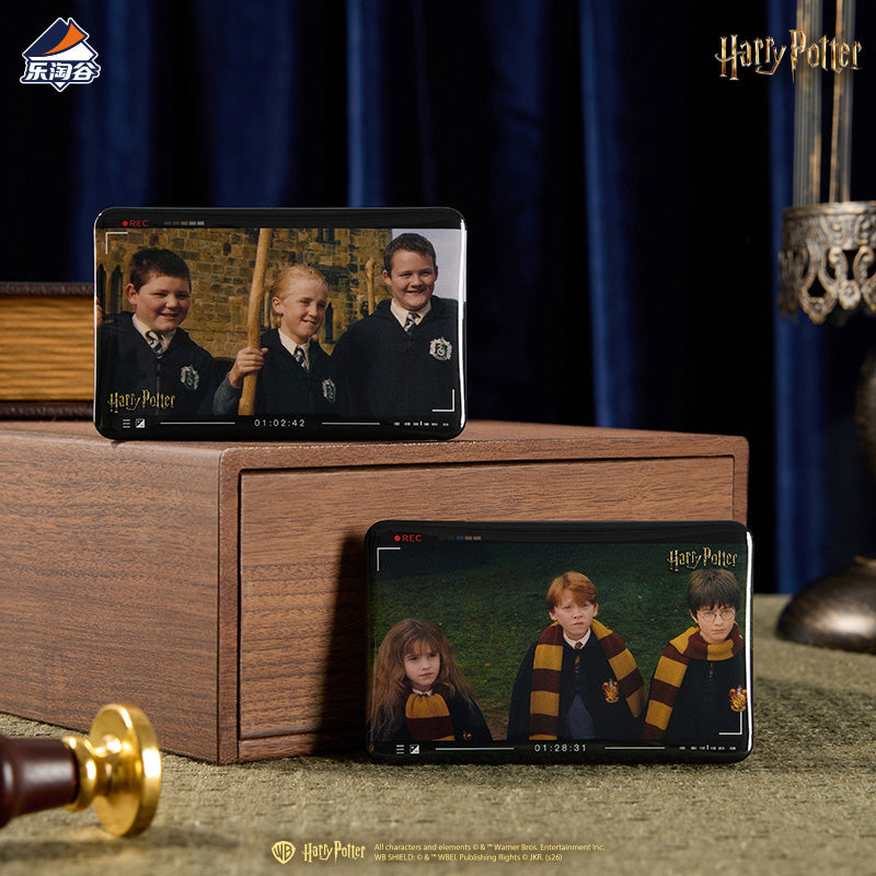Harry Potter Magic Echo Series Character Badge