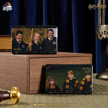 Harry Potter Magic Echo Series Character Badge