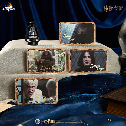 Harry Potter Magical Journey Series Character Badge Blind Bag Vol.3