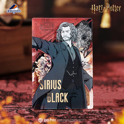 Harry Potter Original Line Art Series Flowing Sand Blind Box