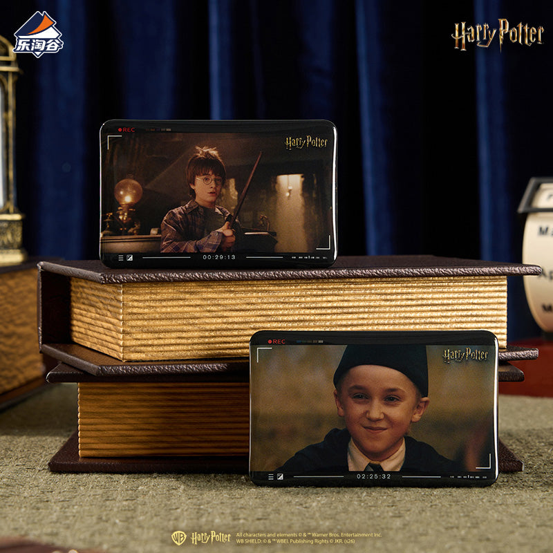 Harry Potter Magic Echo Series Character Badge