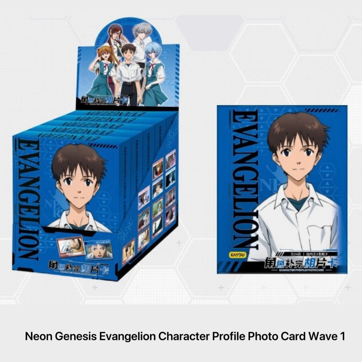 Neon Genesis Evangelion Character Profile Photo Card Wave 1